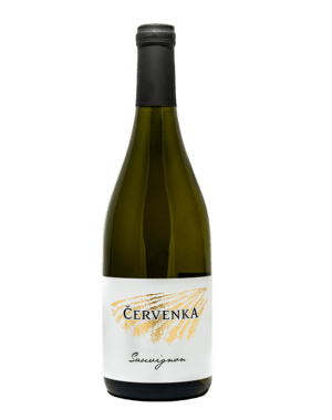 Sauvignon-Červenka